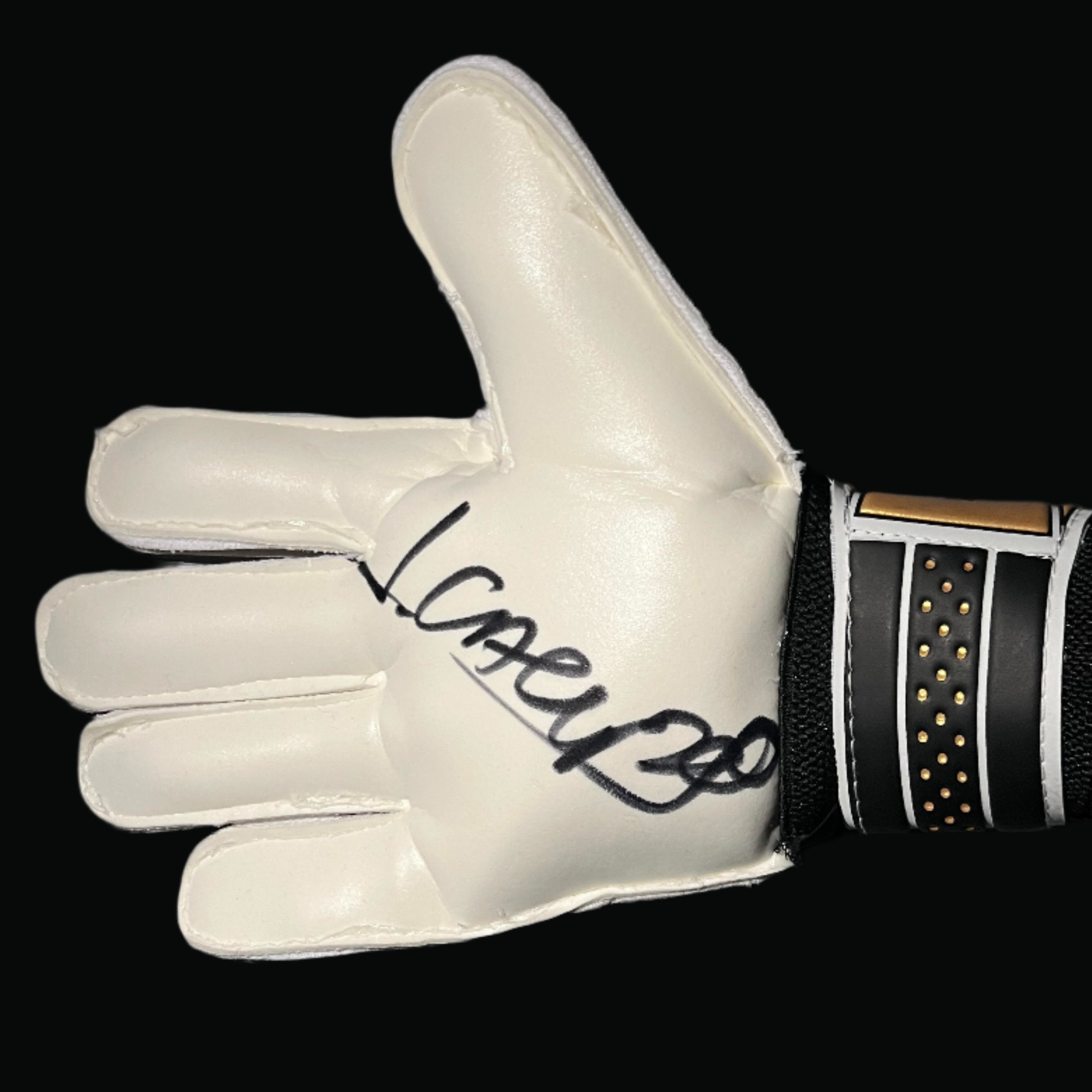 Guante Firmado por Jorge Campos